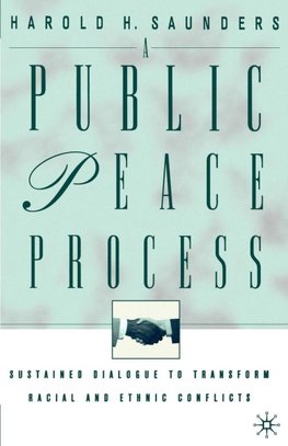 A Public Peace Process