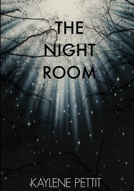 The Night Room