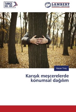 Kar¿¿¿k me¿cerelerde konumsal da¿¿l¿m