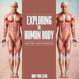 Exploring the Human Body | Anatomy and Physiology