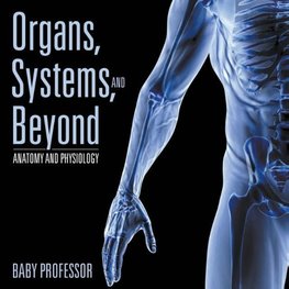 Organs, Systems, and Beyond | Anatomy and Physiology