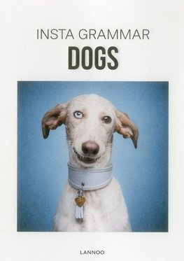 Insta Grammar Dogs