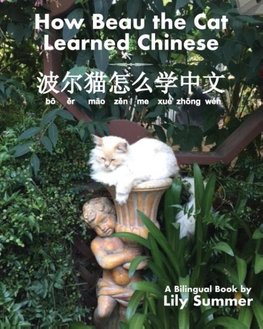 How Beau the Cat Learned Chinese