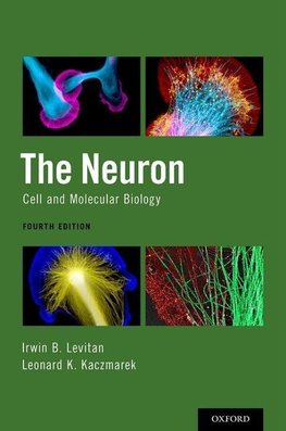 Neuron