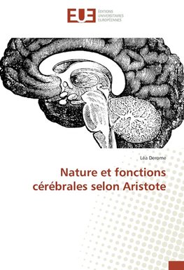 Nature et fonctions cérébrales selon Aristote