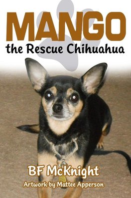 Mango the Rescue Chihuahua