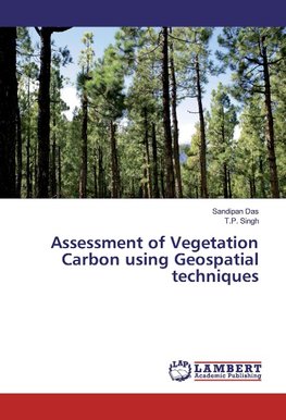 Assessment of Vegetation Carbon using Geospatial techniques