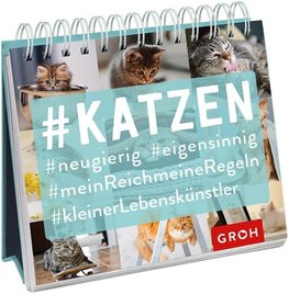 #Katzen