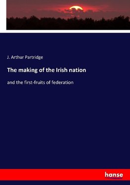 The making of the Irish nation