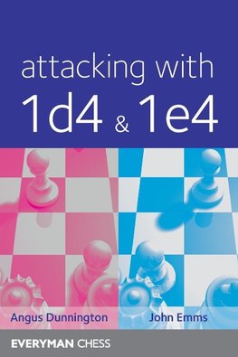 Attacking with 1d4&1e4
