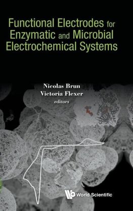 FUNCTIONAL ELECTRODES ENZYMATIC & MICROBIAL ELECTROCHEM SYS