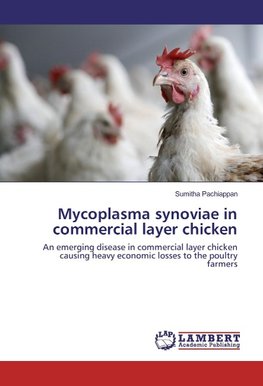 Mycoplasma synoviae in commercial layer chicken