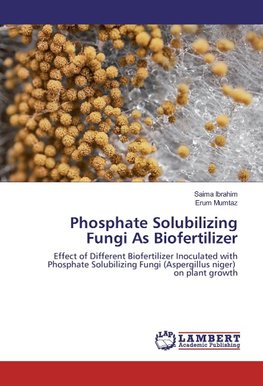 Phosphate Solubilizing Fungi As Biofertilizer
