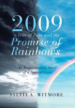 2009-a Year of Pain and the Promise of Rainbows
