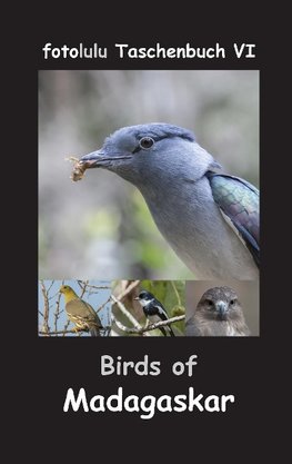 Birds of Madagaskar