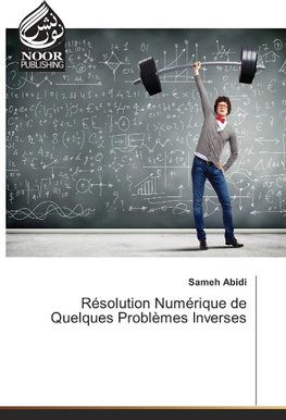 Résolution Numérique de Quelques Problèmes Inverses