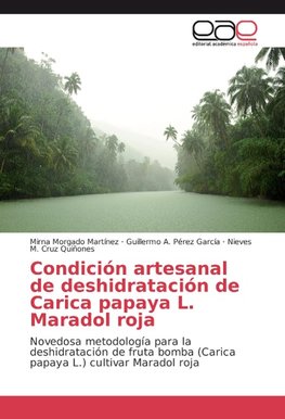 Condición artesanal de deshidratación de Carica papaya L. Maradol roja