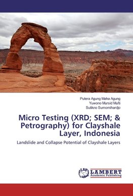 Micro Testing (XRD; SEM; & Petrography) for Clayshale Layer, Indonesia