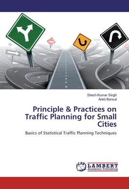 Principle & Practices on Traffic Planning for Small Cities