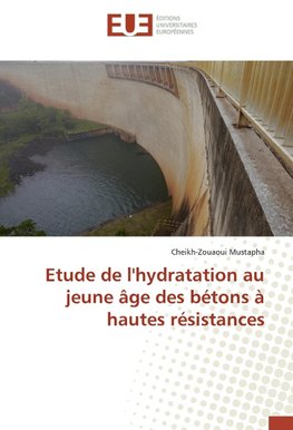 Etude de l'hydratation au jeune âge des bétons à hautes résistances