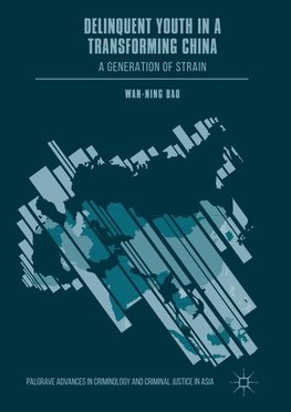 Delinquent Youth in a Transforming China