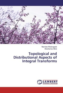 Topological and Distributional Aspects of Integral Transforms
