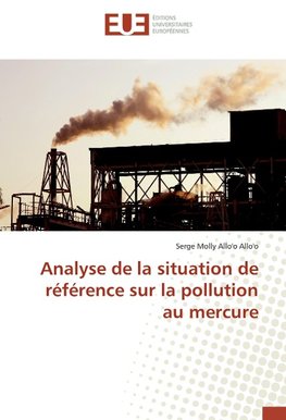 Analyse de la situation de référence sur la pollution au mercure