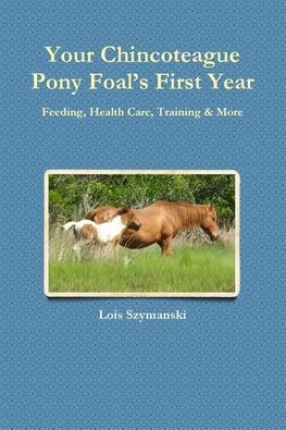 Your Chincoteague Pony Foal's First Year