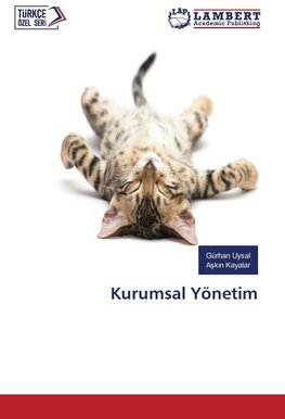Kurumsal Yönetim