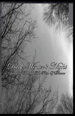 Dark Winter's Night
