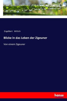 Blicke in das Leben der Zigeuner