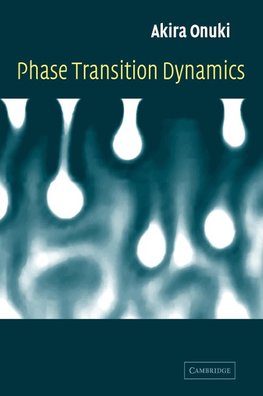 Phase Transition Dynamics