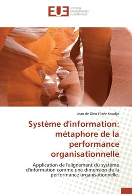 Système d'information: métaphore de la performance organisationnelle