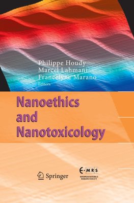 Nanoethics and Nanotoxicology