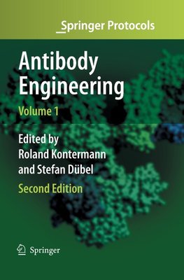 Antibody Engineering Volume 1
