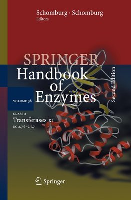 Class 2 Transferases XI