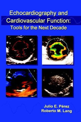 Echocardiography and Cardiovascular Function: Tools for the Next Decade