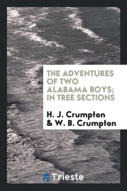 The adventures of two Alabama boys; in tree sections