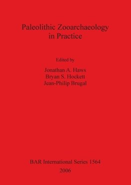 Paleolithic Zooarchaeology in Practice