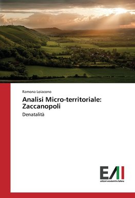 Analisi Micro-territoriale: Zaccanopoli