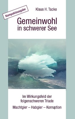 Gemeinwohl in schwerer See - Kompaktausgabe