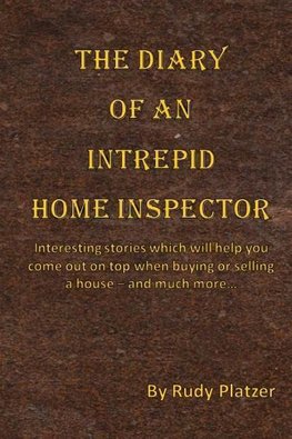 The Diary Of An Intrepid Home Inspector