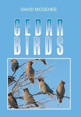 Cedar Birds