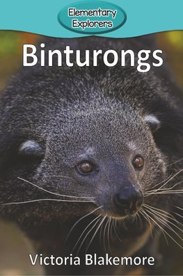Binturongs