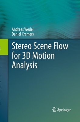Stereo Scene Flow for 3D Motion Analysis