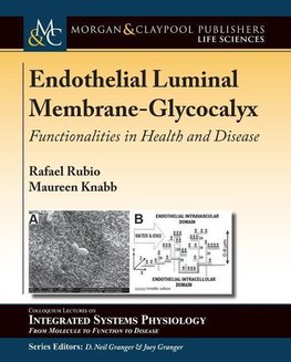 Endothelial Luminal Membrane-Glycocalyx