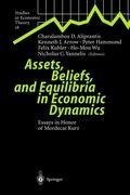 Assets, Beliefs, and Equilibria in Economic Dynamics