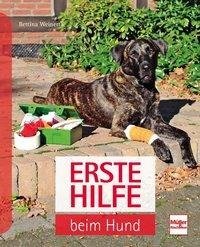 Erste Hilfe am Hund