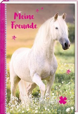 Freundebuch - Pferdefreunde - Meine Freunde. Schimmel im Sonnenuntergang