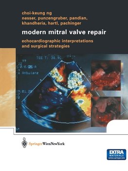 Modern Mitral Valve Repair